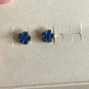 Vintage Michal Negrin Blue Crystal Earrings (never worn)